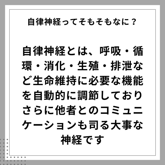 画像1031