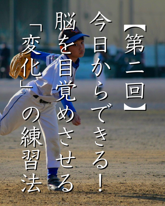 画像1286