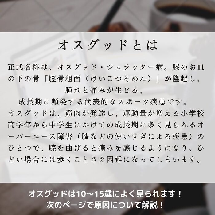 画像266