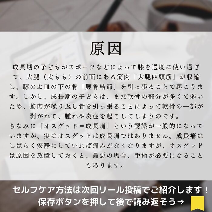 画像267