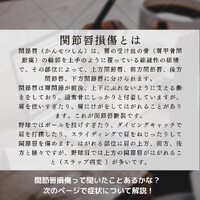 画像365