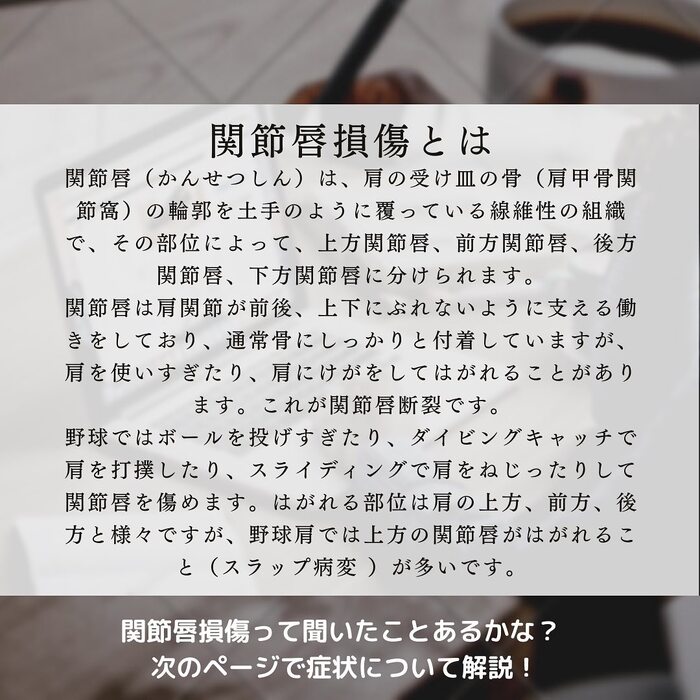 画像365