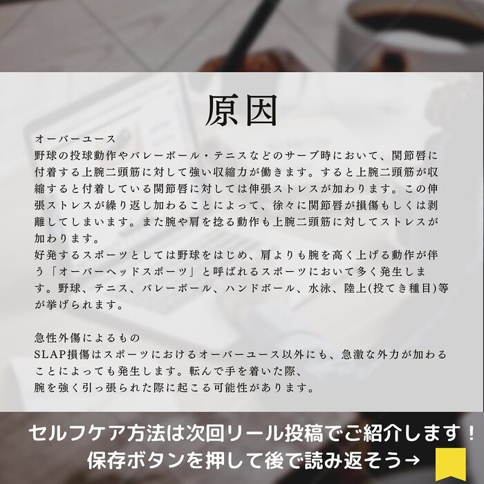画像367