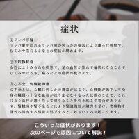 画像453