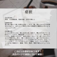 画像507