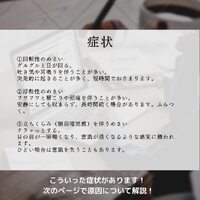 画像533
