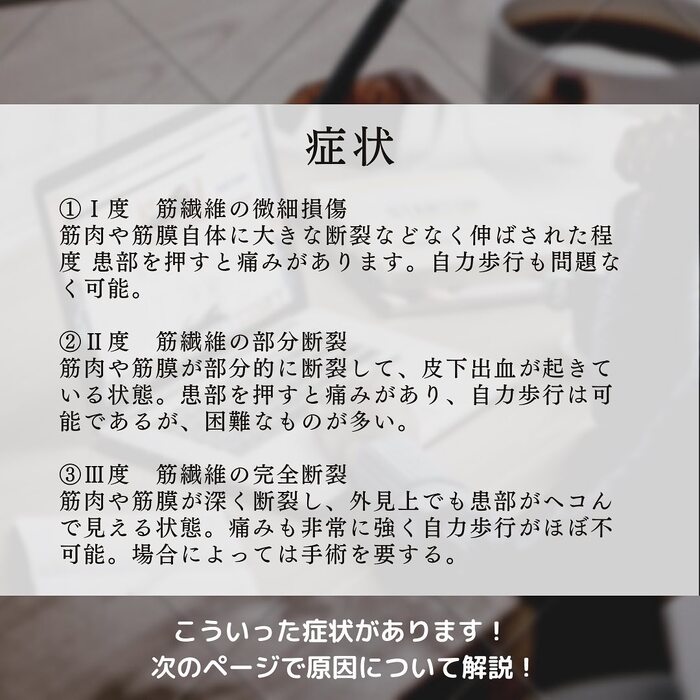 画像548