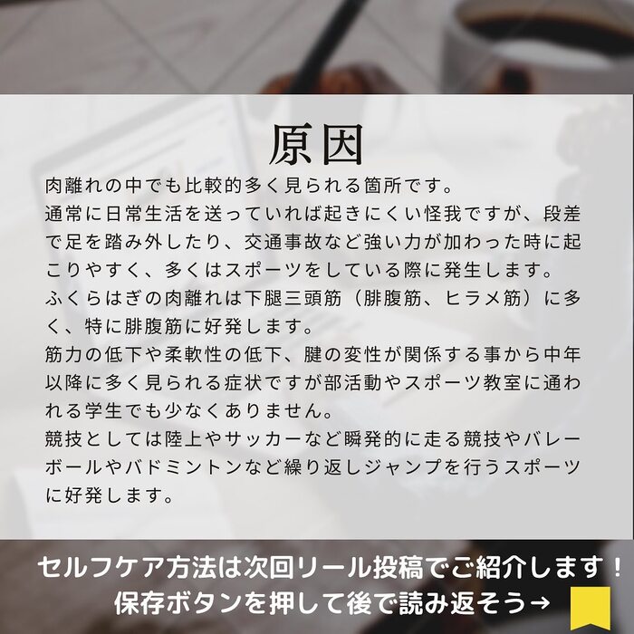 画像549