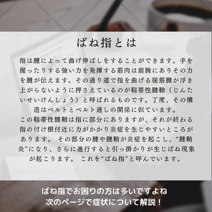 画像584