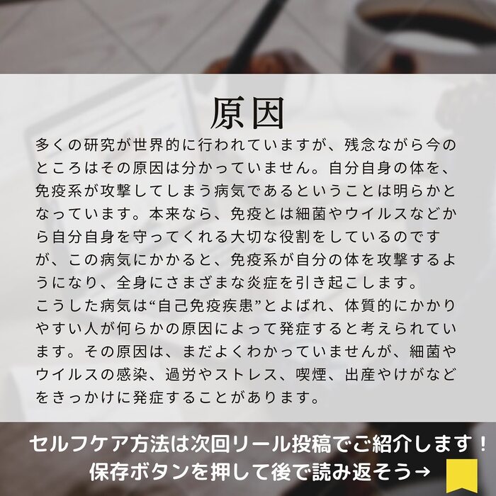 画像738